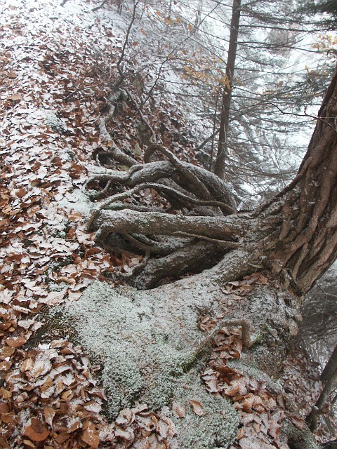 Raichberg 2007 Bild 08